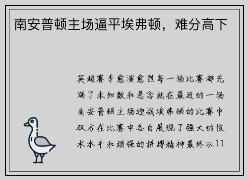 南安普顿主场逼平埃弗顿，难分高下