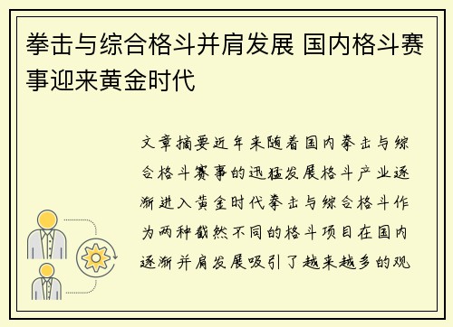 拳击与综合格斗并肩发展 国内格斗赛事迎来黄金时代